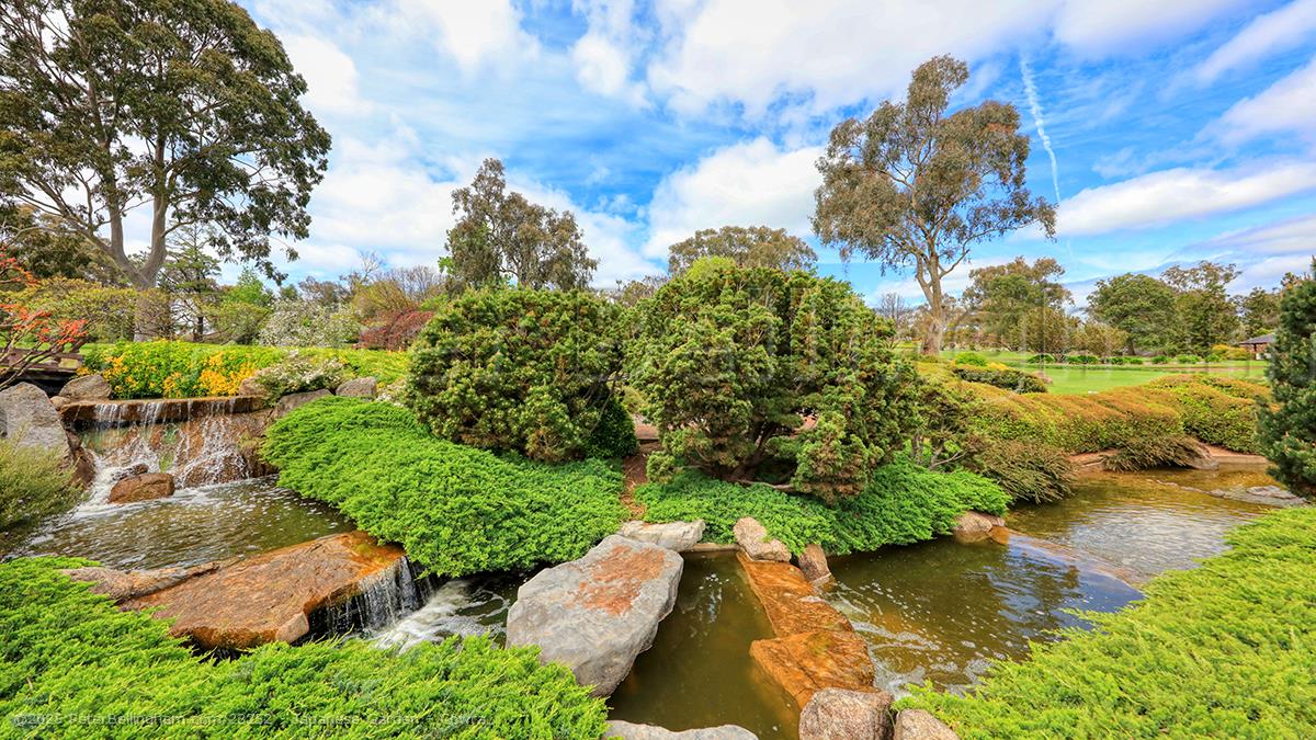 Peter Bellingham Photography Japanese Garden - Cowra